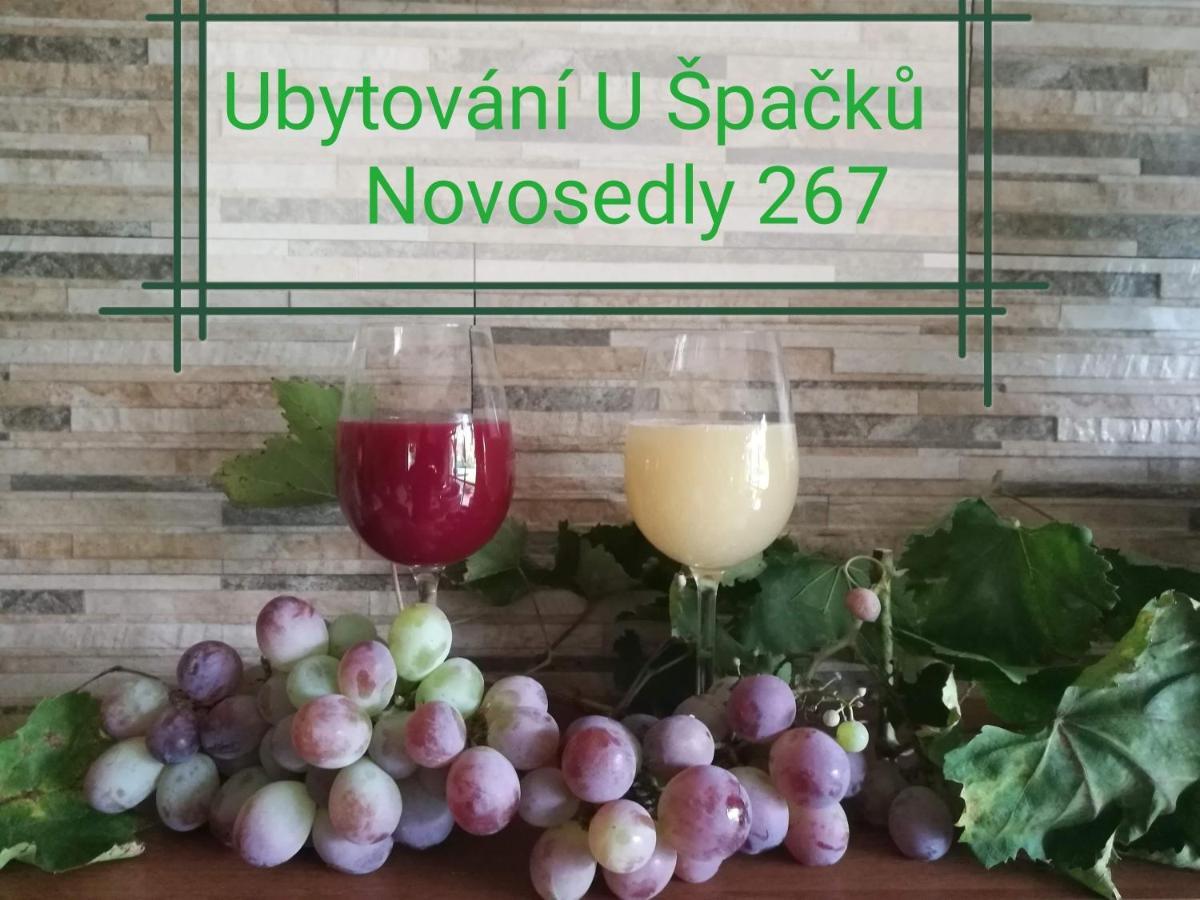 Ubytování U Špačků Pálava Novosedly (Breclav) Exterior foto