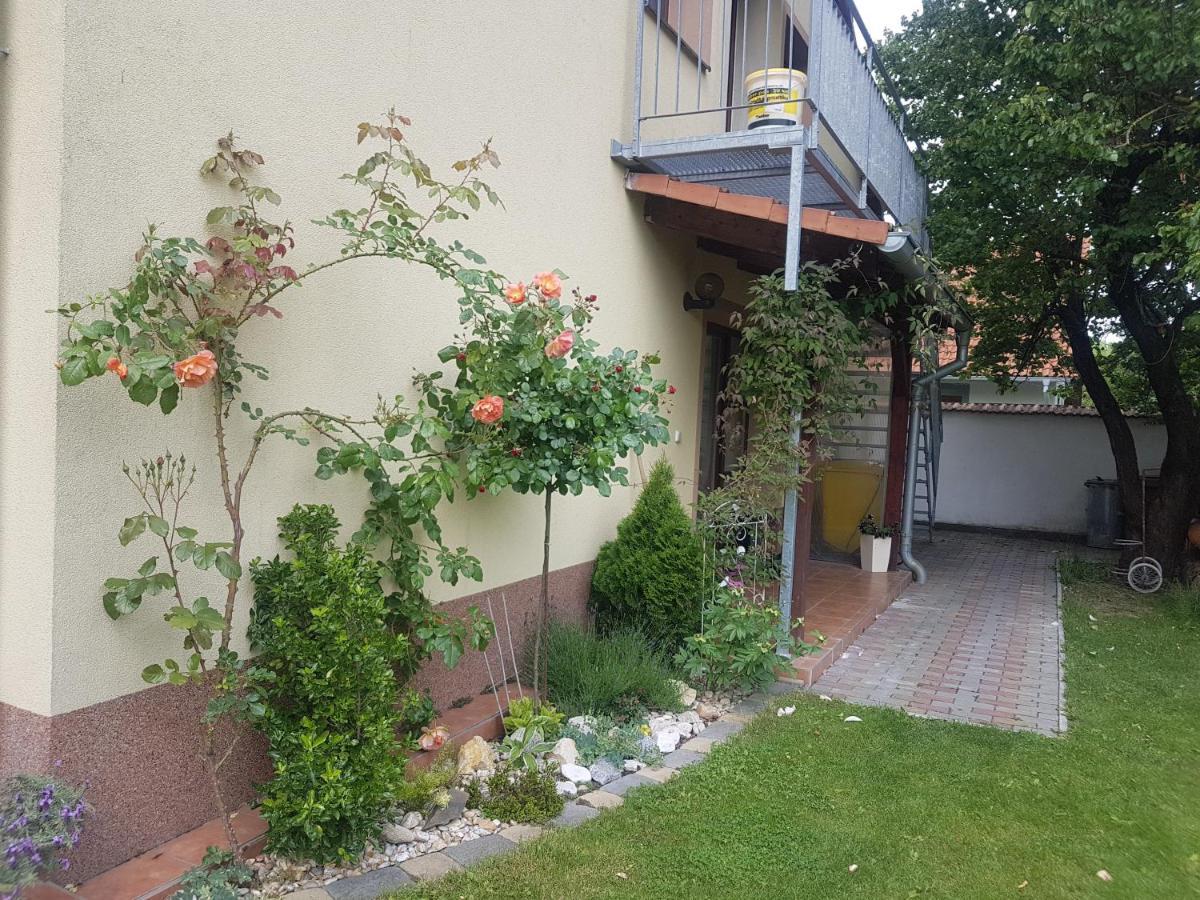 Ubytování U Špačků Pálava Novosedly (Breclav) Exterior foto