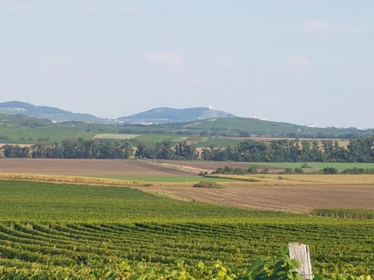 Ubytování U Špačků Pálava Novosedly (Breclav) Exterior foto