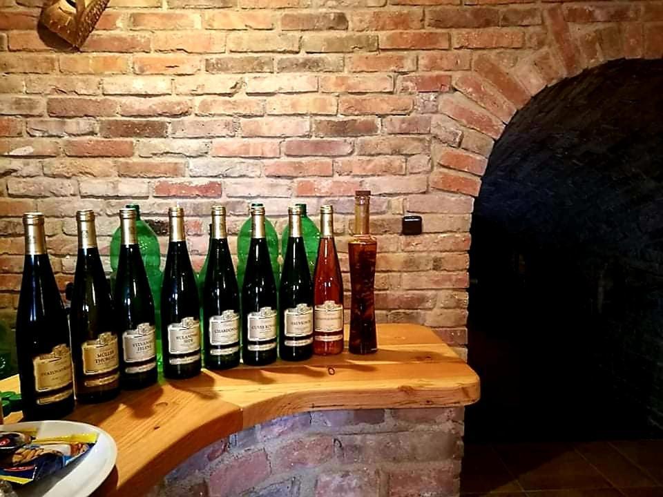 Ubytování U Špačků Pálava Novosedly (Breclav) Exterior foto